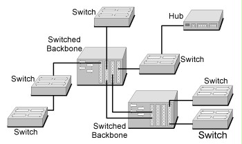 Switched network with backbone and access switches